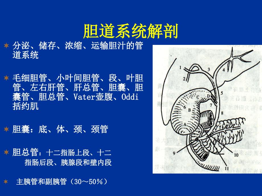 胆道疾病的影像学诊断ppt课件_第2页