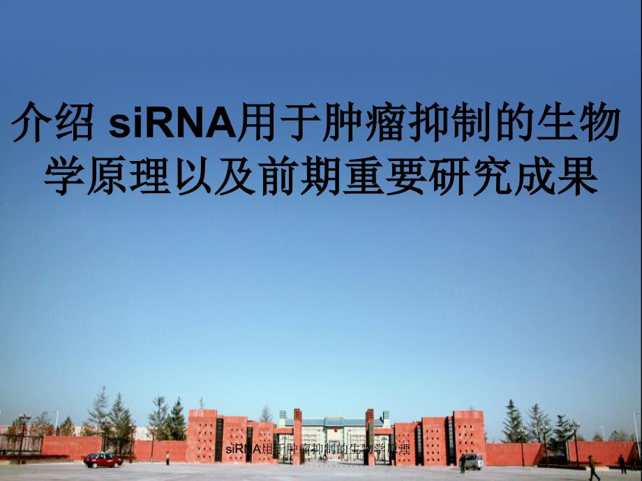 siRNA用于肿瘤抑制的生物学原理课件_第1页