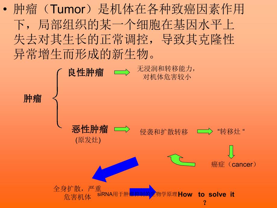 siRNA用于肿瘤抑制的生物学原理课件_第2页