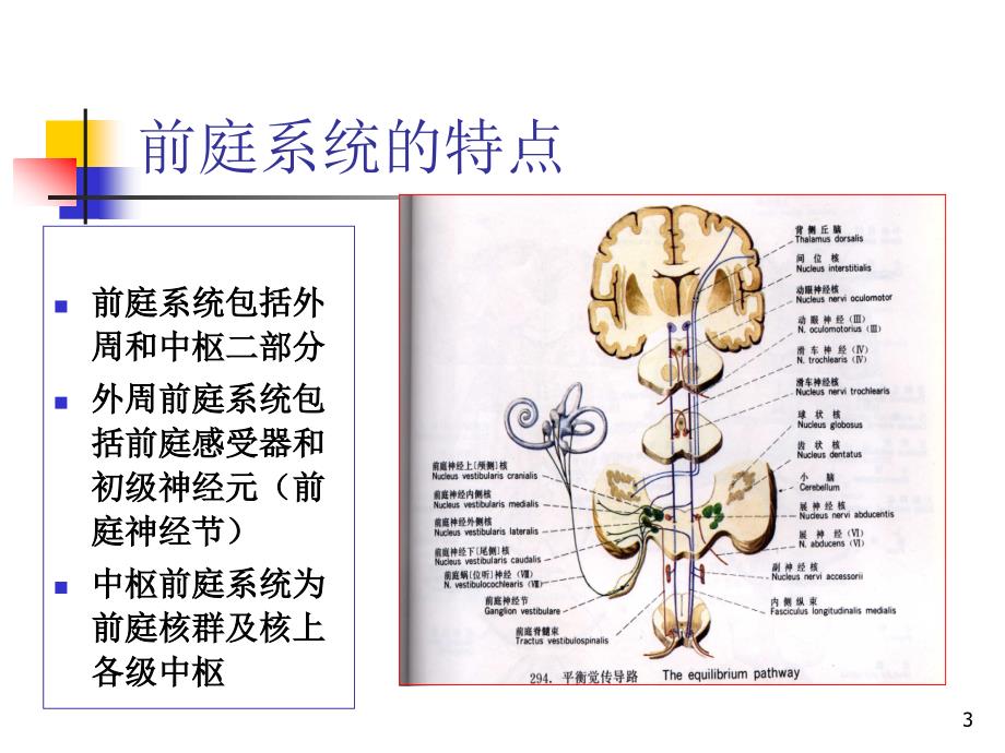 位置性眩晕的诊断与治疗讲课资料070711_第3页