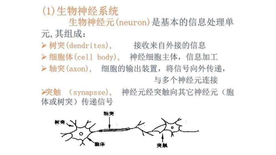 BP神经网络教程文件_第5页