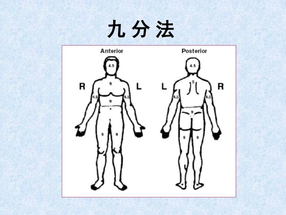 烧伤患者的营养支持治疗_第4页