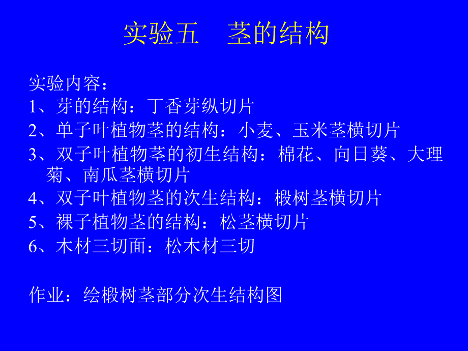 实验五茎的结构PPT课件_第1页
