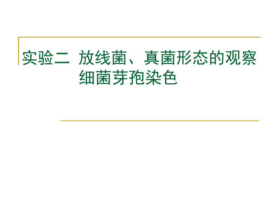 实验二放线菌真菌形态观察_第1页