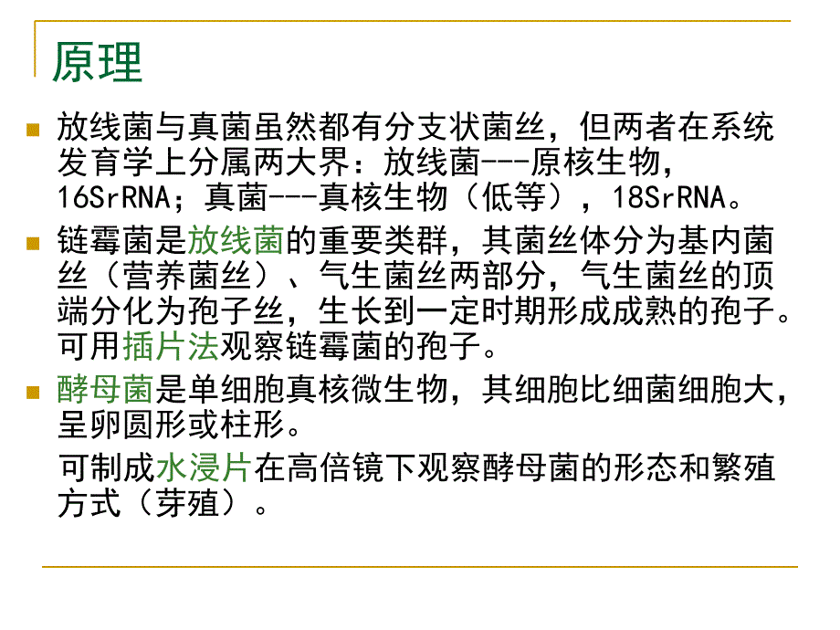 实验二放线菌真菌形态观察_第3页