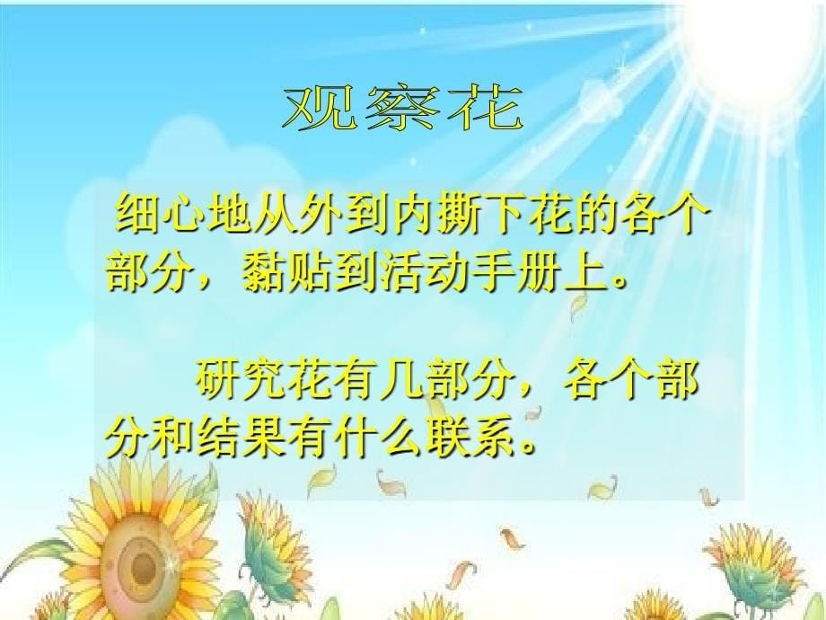 (教科版)三年级科学下册课件-开花了-结果了-1_第5页