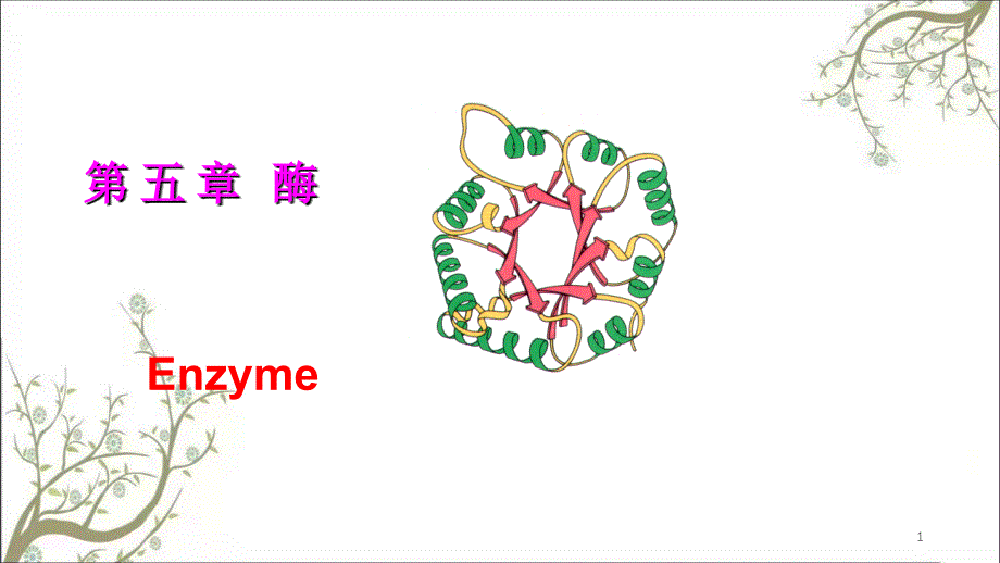 酶第一二节课件_第1页