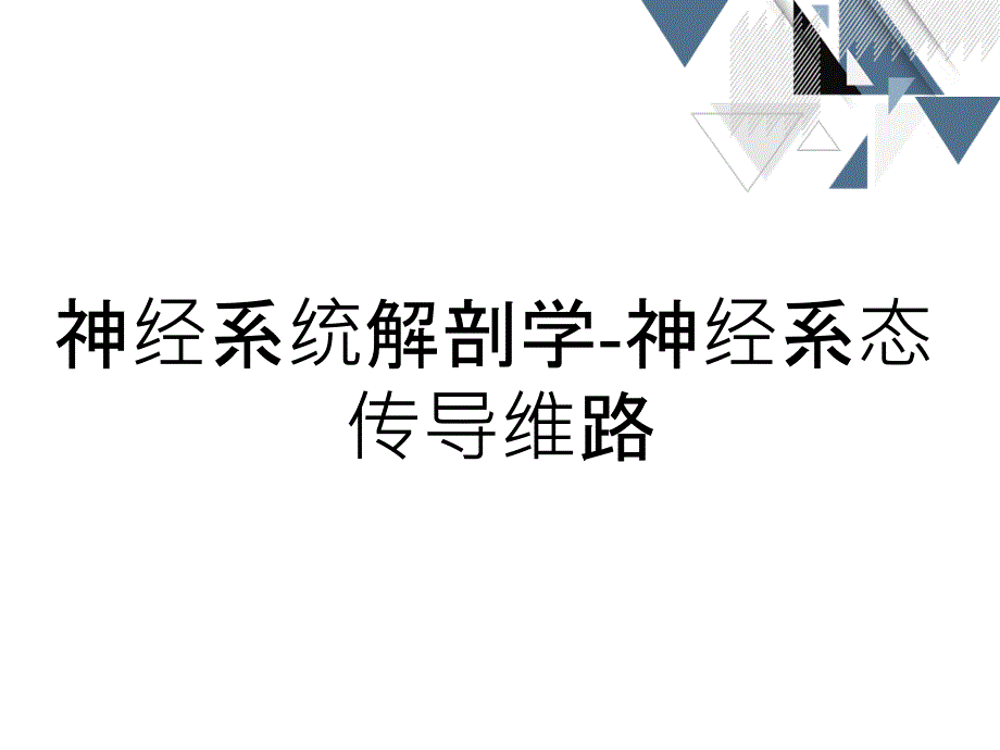 神经系统解剖学神经系态传导维路_第1页