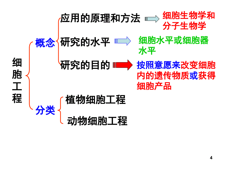 植物细胞工程的基本技术1PPT课件_第4页