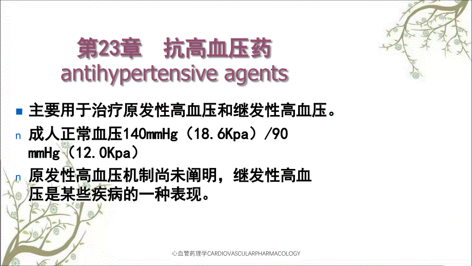 心血管药理学CARDIOVASCULARPHARMACOLOGY课件_第2页