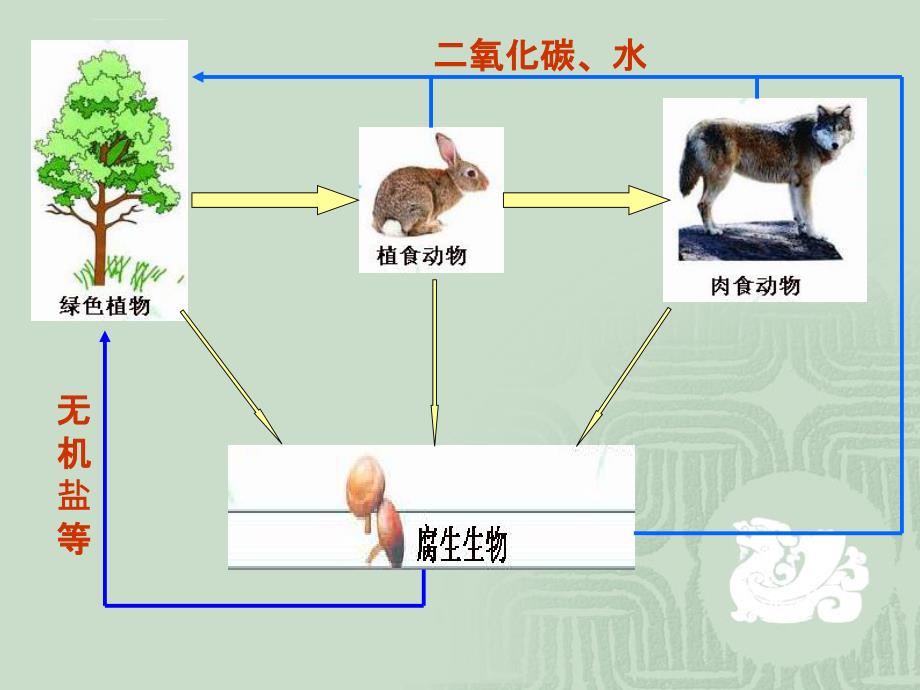 动物在生物圈中的作用PPT课件4-北师大版_第3页