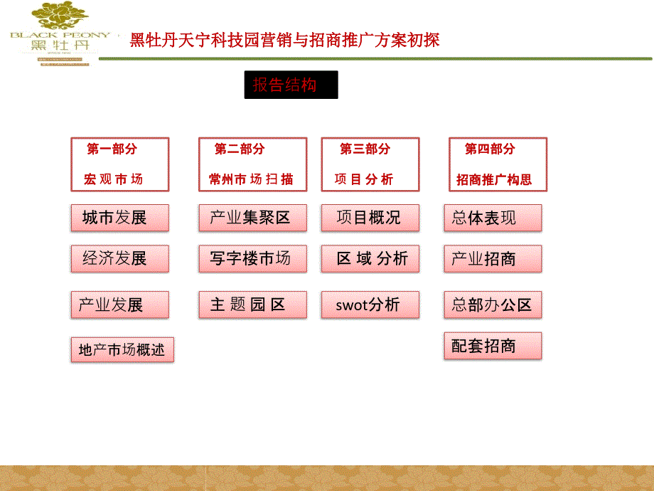 常州黑牡丹天宁科技园营销与招商推广方案初探9P_第1页