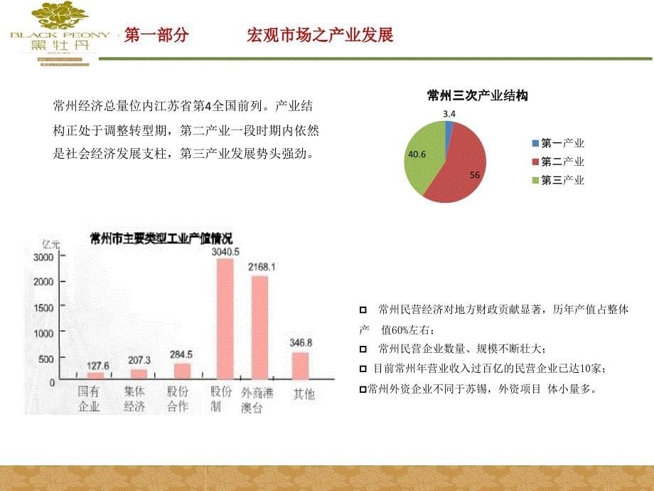 常州黑牡丹天宁科技园营销与招商推广方案初探9P_第5页