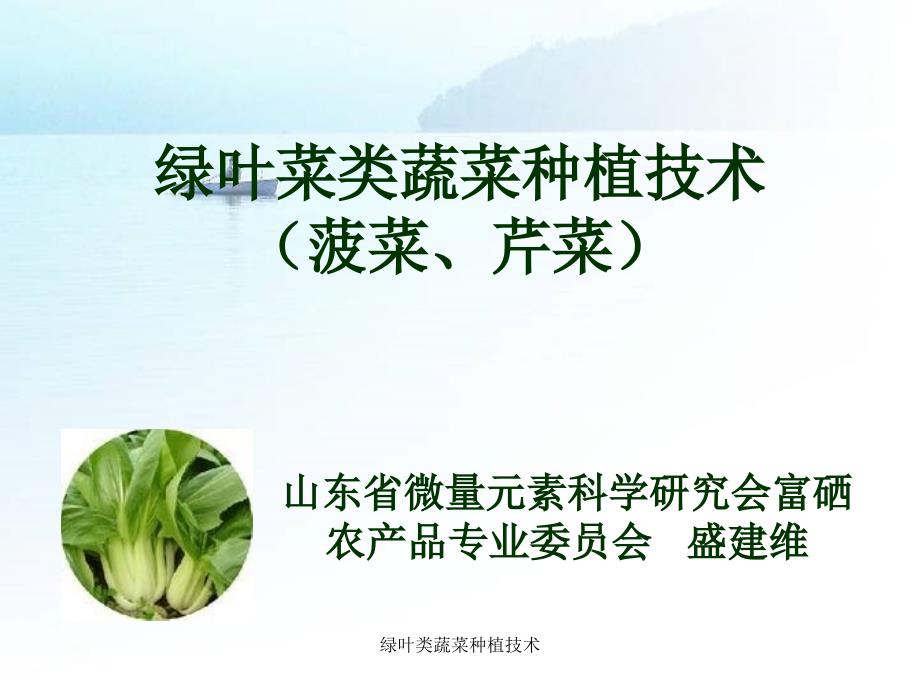 绿叶类蔬菜种植技术课件_第1页