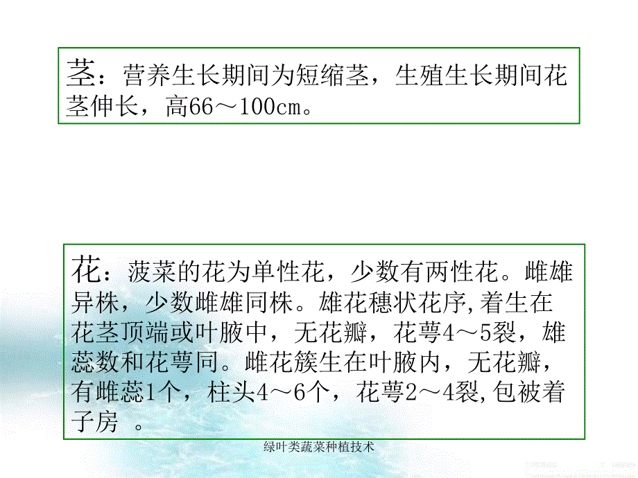 绿叶类蔬菜种植技术课件_第4页