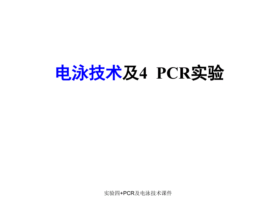 实验四PCR及电泳技术课件_第1页