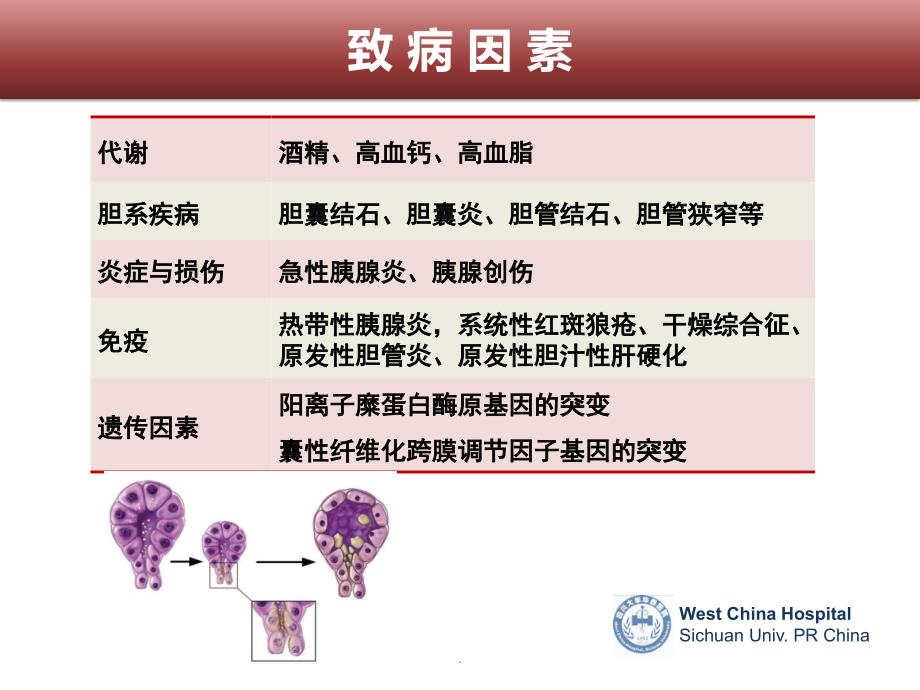 慢性胰腺炎PPT课件_第4页