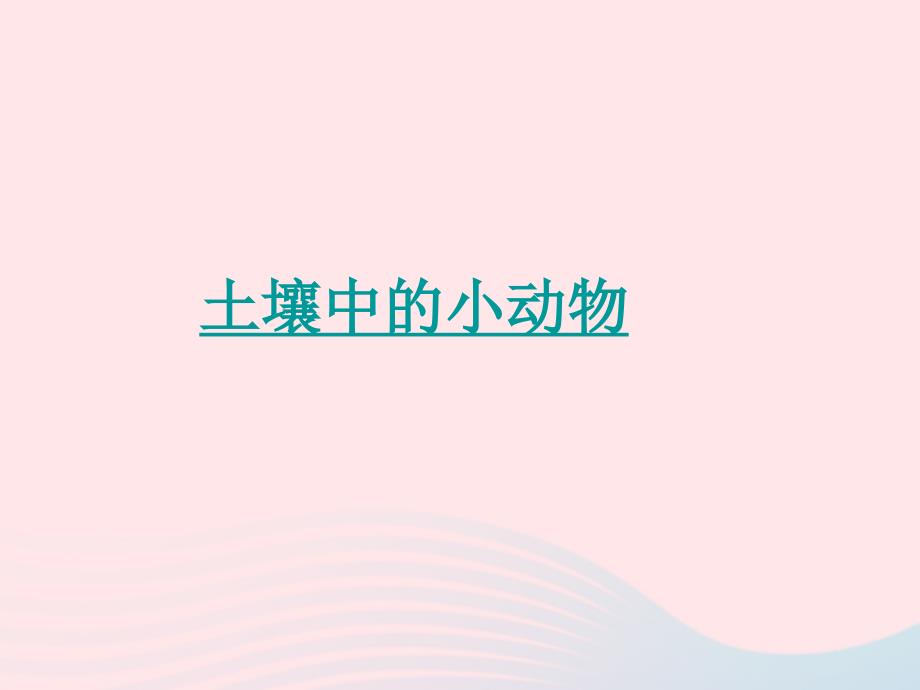 最新三年级科学下册三植物生活的土地2土壤中的动物课件1新人教版新人教版小学三年级下册自然科学课件_第1页