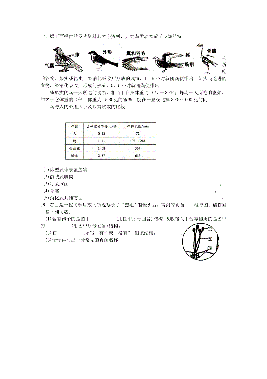 生物人教版初中二年级上册-八年级生物上册期末考试试题_第5页
