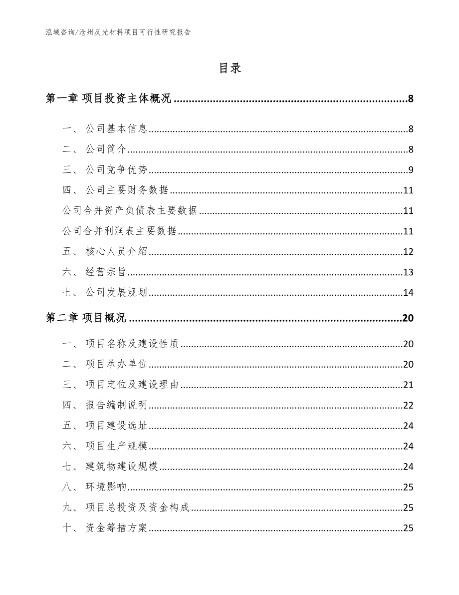沧州反光材料项目可行性研究报告_模板范文_第2页