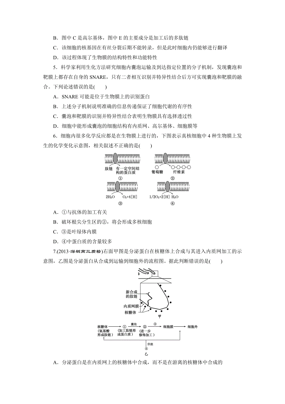 练习6主要细胞器及细胞膜系统的结构和功能.doc_第2页