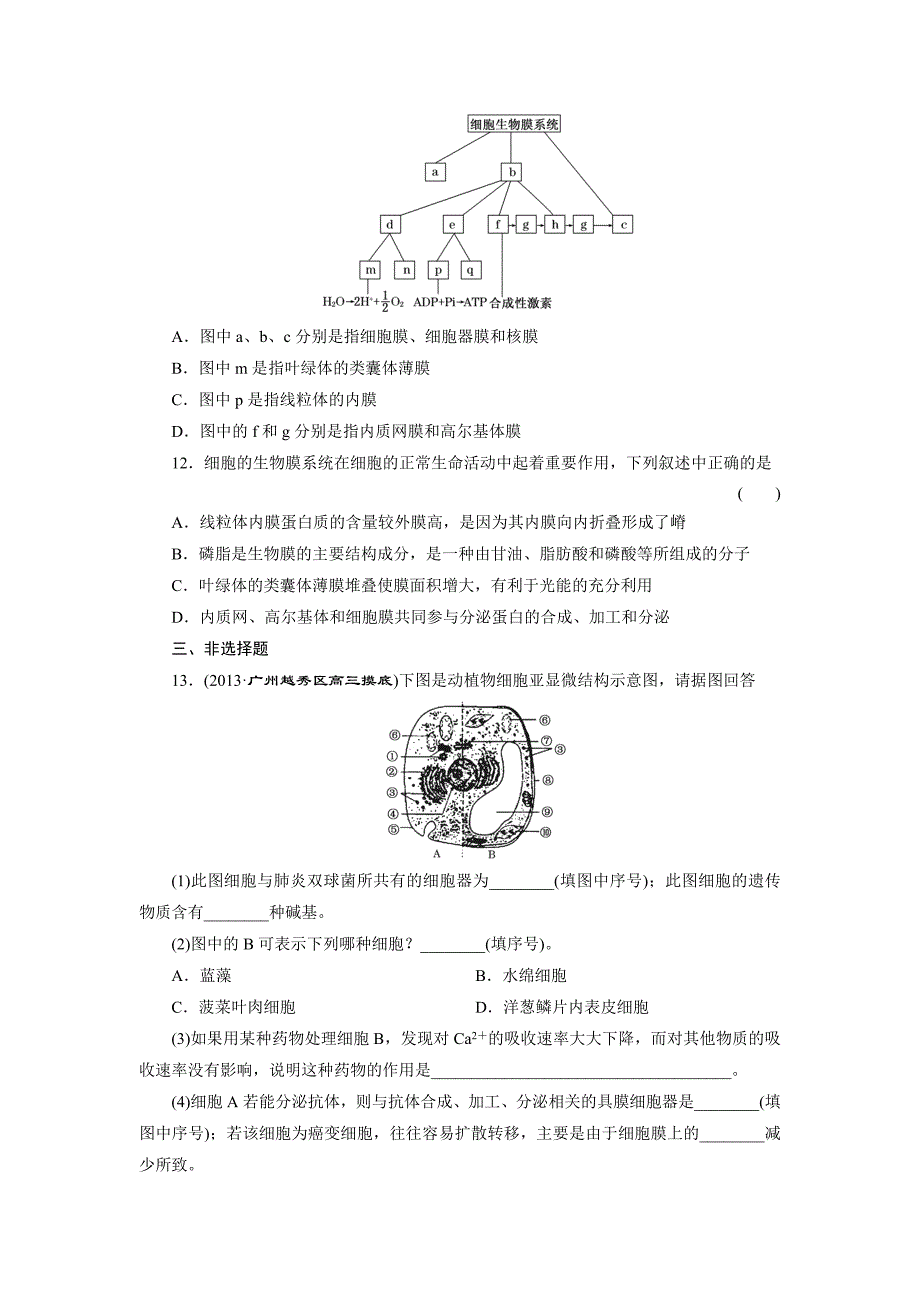 练习6主要细胞器及细胞膜系统的结构和功能.doc_第4页