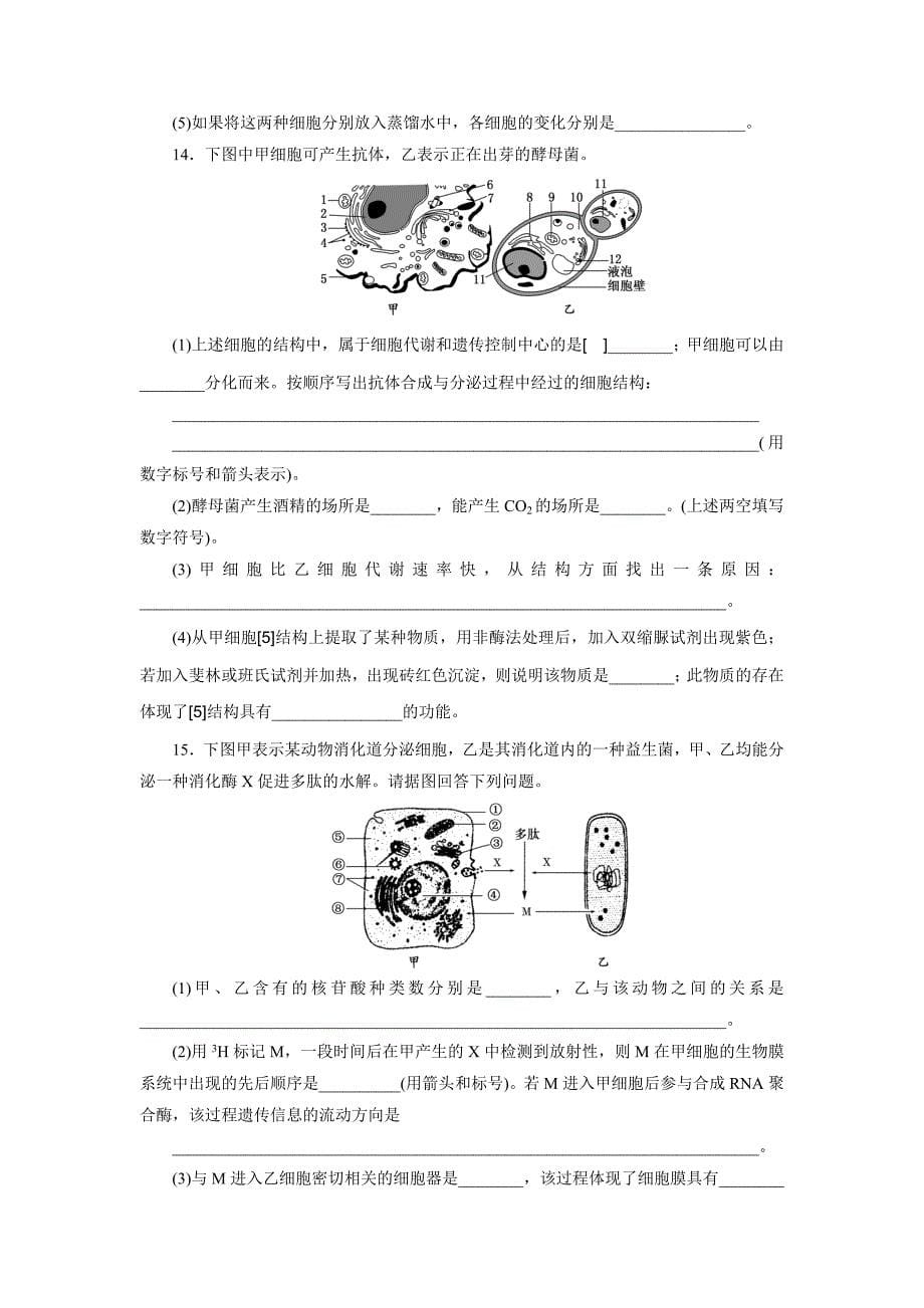 练习6主要细胞器及细胞膜系统的结构和功能.doc_第5页