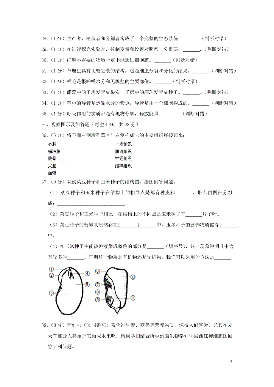 陕西省汉中市宁强县2018-2019学年七年级生物上学期期末试卷_第4页