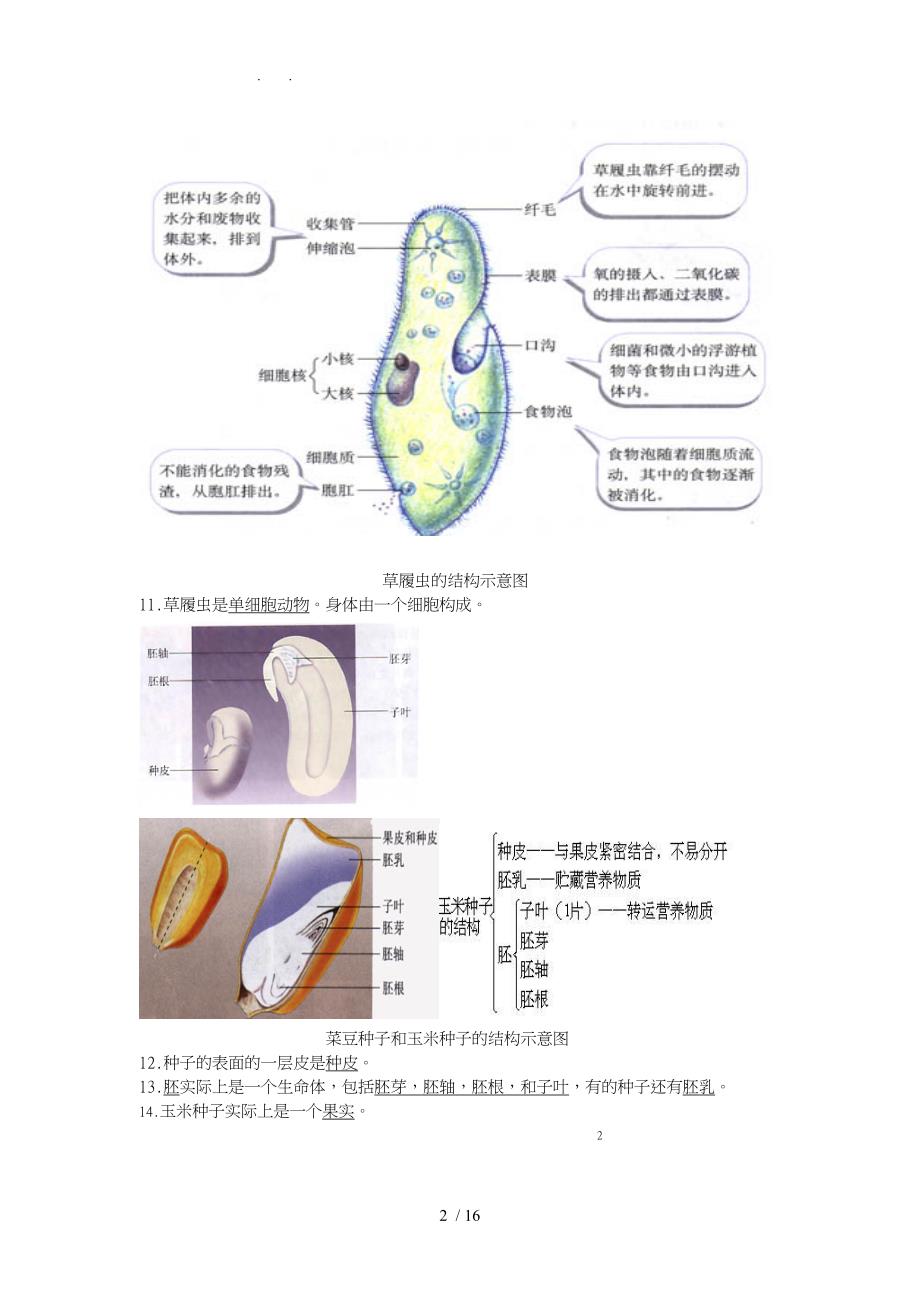 初中生物识图题全面解析超全面_第2页