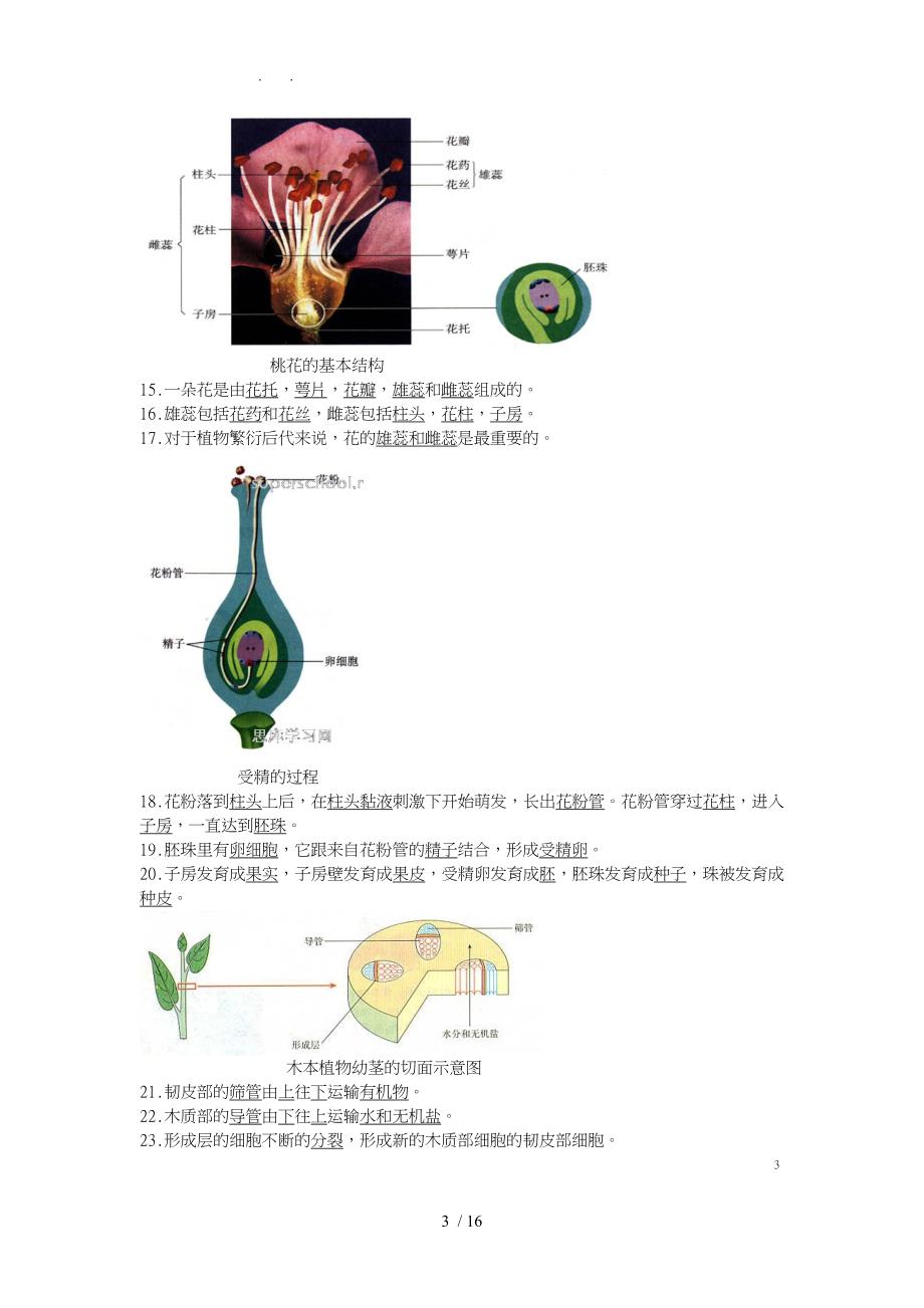 初中生物识图题全面解析超全面_第3页