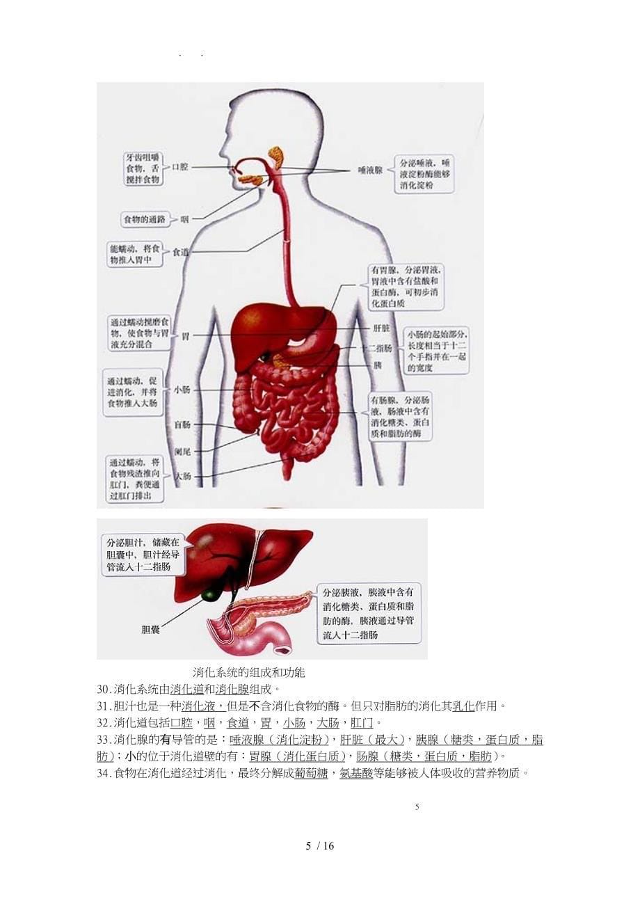 初中生物识图题全面解析超全面_第5页