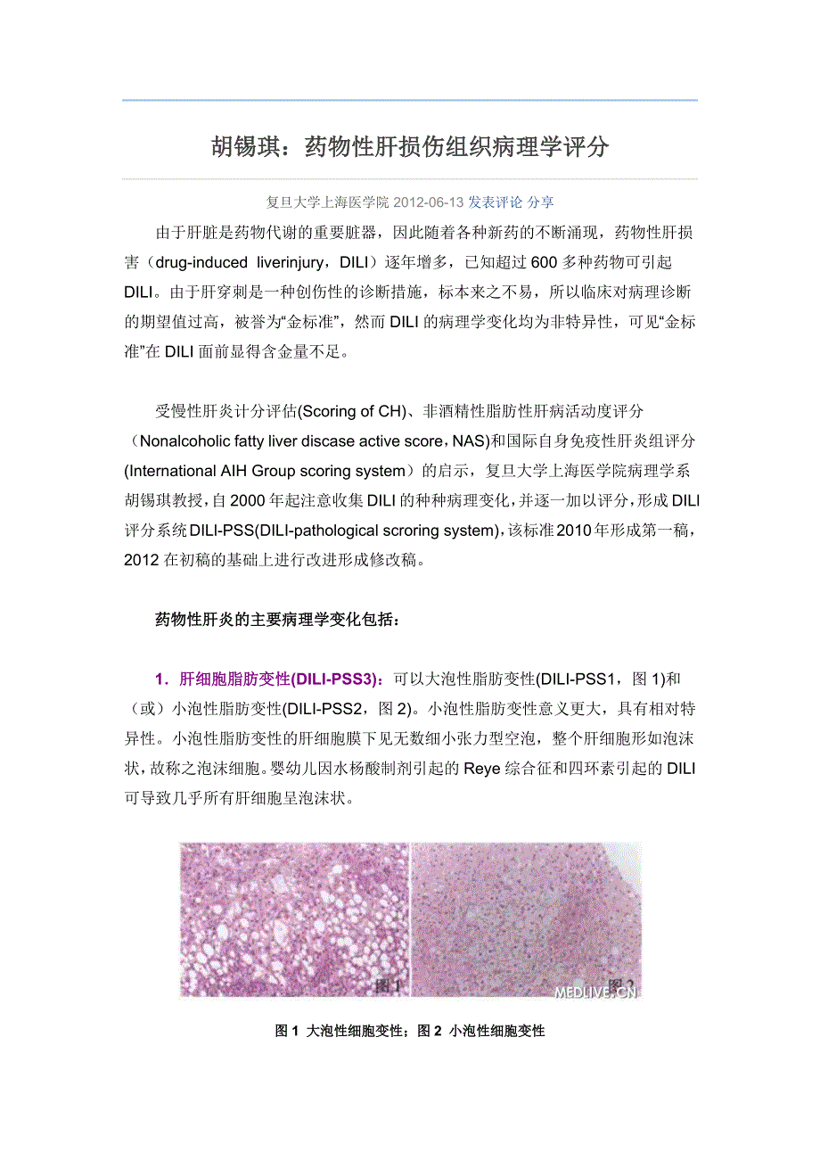 药物性肝损伤组织病理学评分.docx_第1页