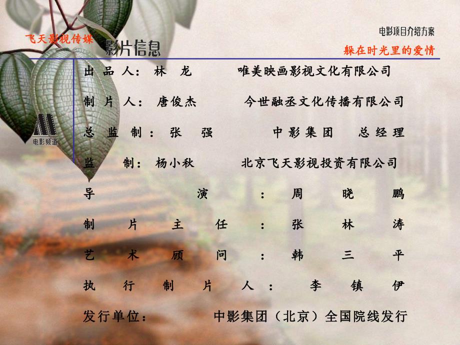 电影《躲在时光里的爱情》策划方案ppt.ppt修改_第4页