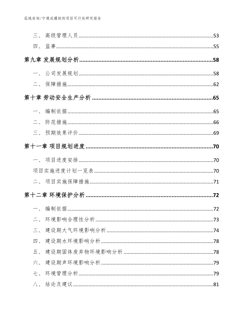 宁德成膜助剂项目可行性研究报告（范文参考）_第4页