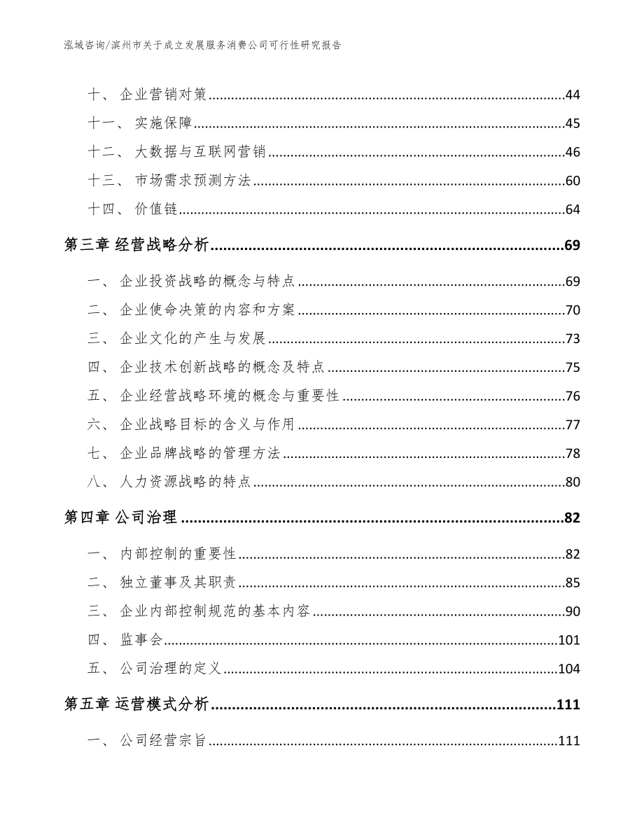 滨州市关于成立发展服务消费公司可行性研究报告_第3页