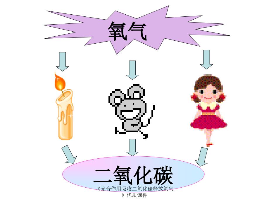 光合作用吸收二氧化碳释放氧气优质课件经典实用_第4页