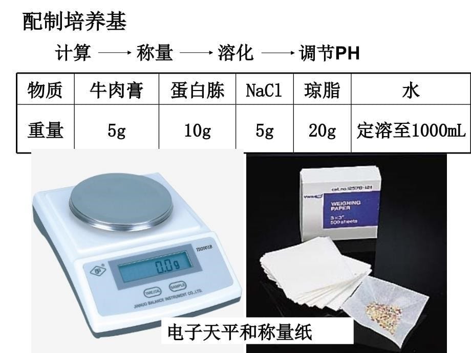 最新微生物技术部分PPT课件_第5页