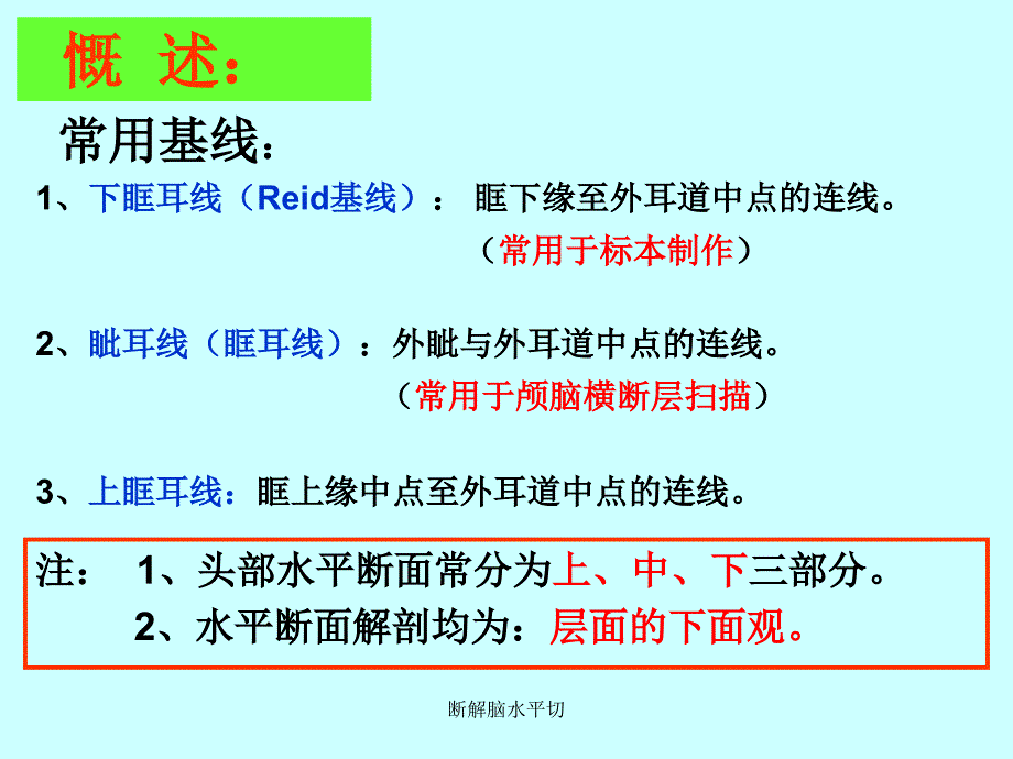 断解脑水平切课件_第2页