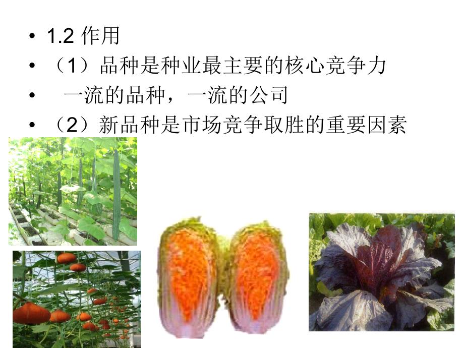 种子企业品种研发管理_第3页