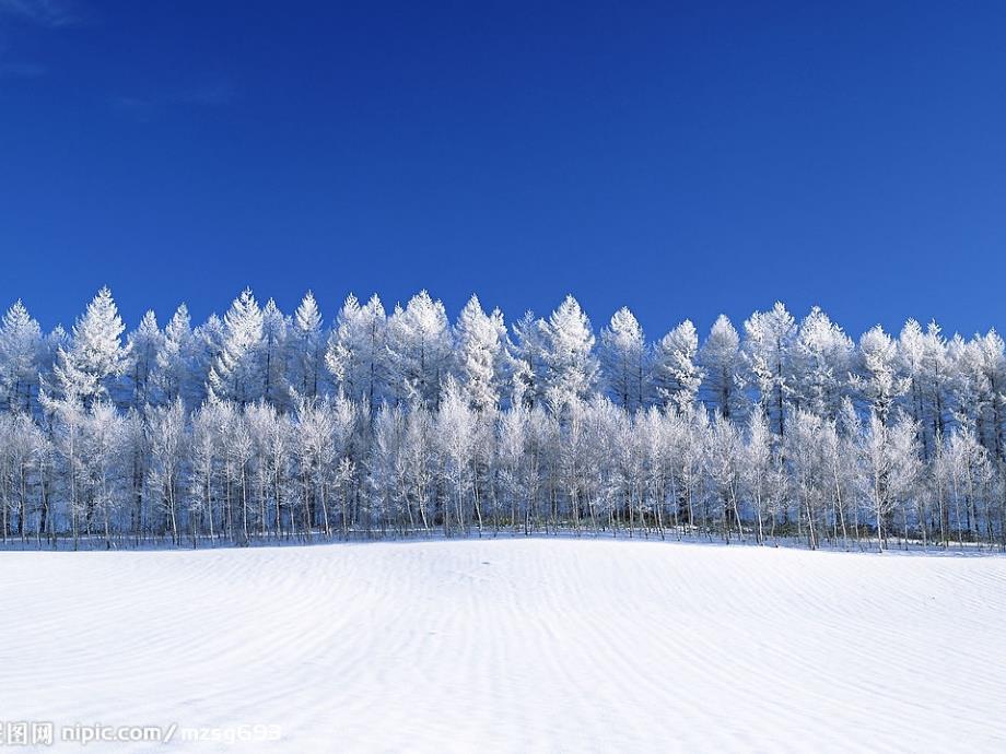 雪地里的小画家课件_第4页