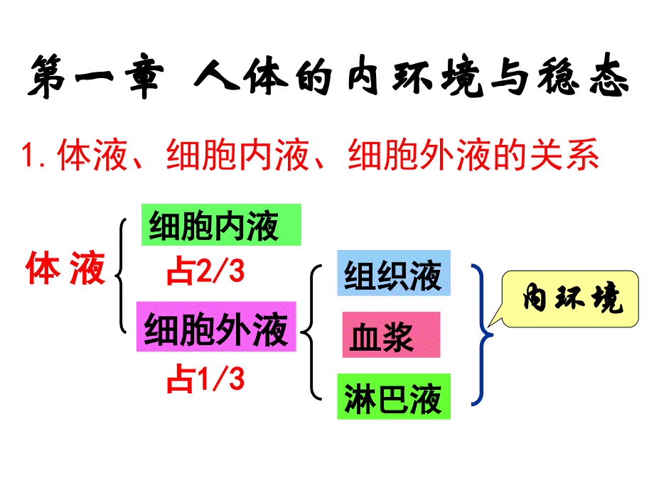 第一节内环境与稳态_第1页