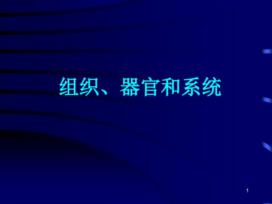 动植物的组织、器官与系统_第1页