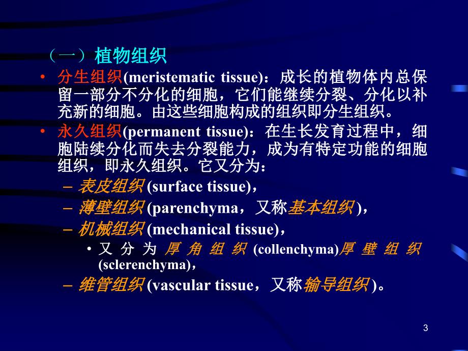 动植物的组织、器官与系统_第3页