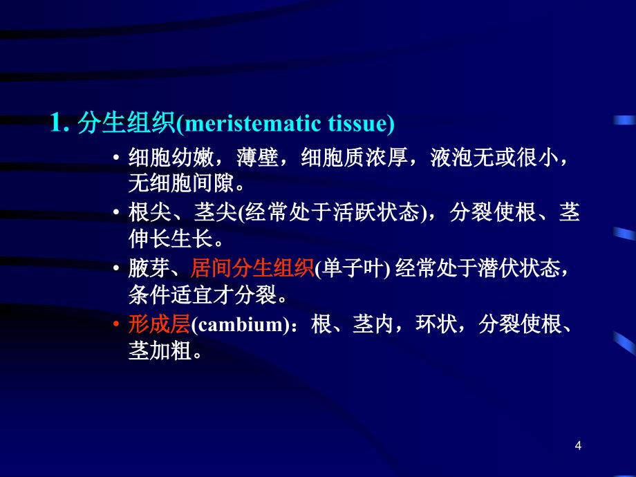 动植物的组织、器官与系统_第4页