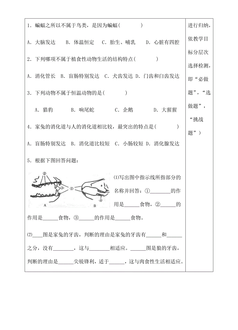 517哺乳动物（11）_第4页