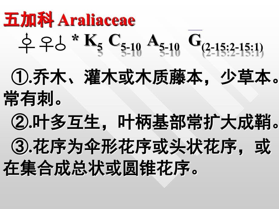 五加科伞形科ppt课件_第1页