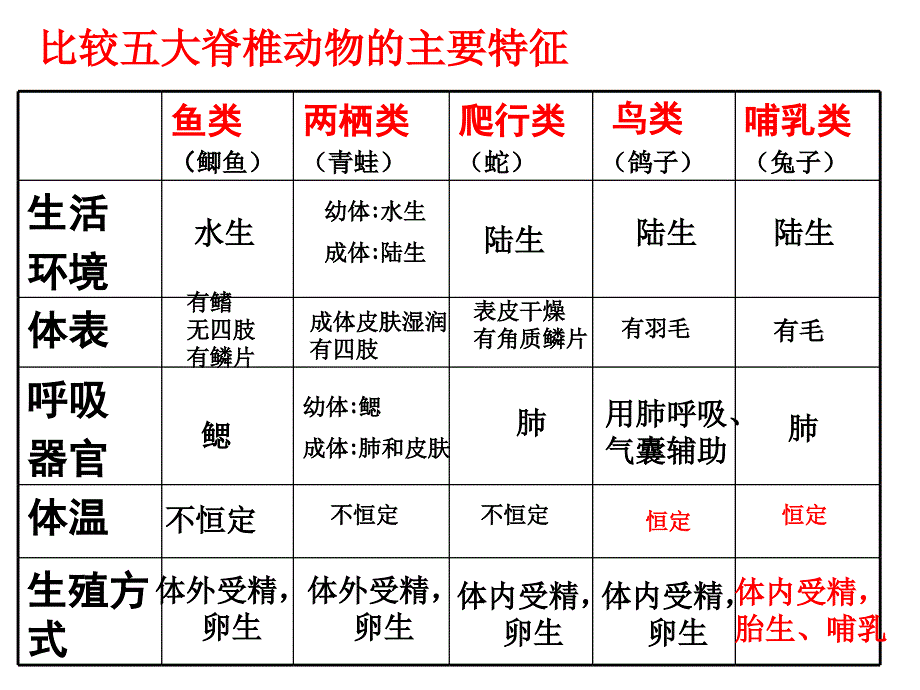 24常见的动物第3课时_第2页