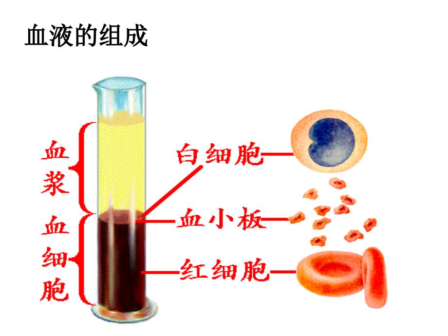 15章一节二时_第4页