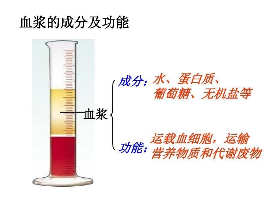 15章一节二时_第5页