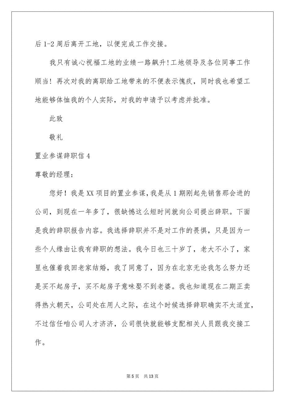 2023年置业顾问辞职信14范文.docx_第5页